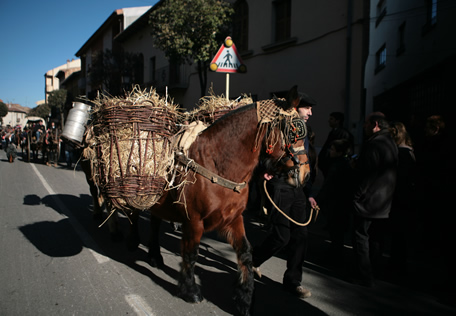 Espècie d'arganells