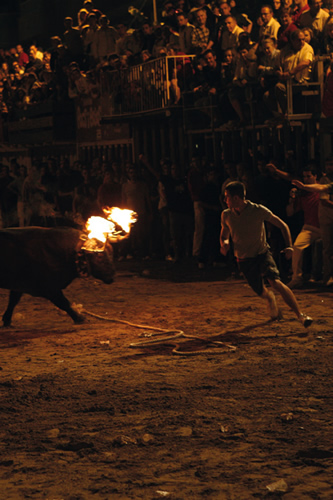 Intentant esquivar el bou i el foc