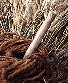 Eines pel segar i el batre
