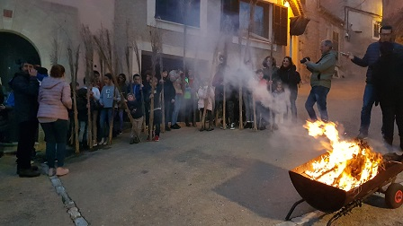 Les faies són llargues