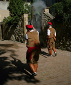 Disparada de salves