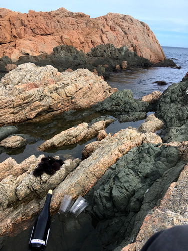 Vi i garoines arran de mar