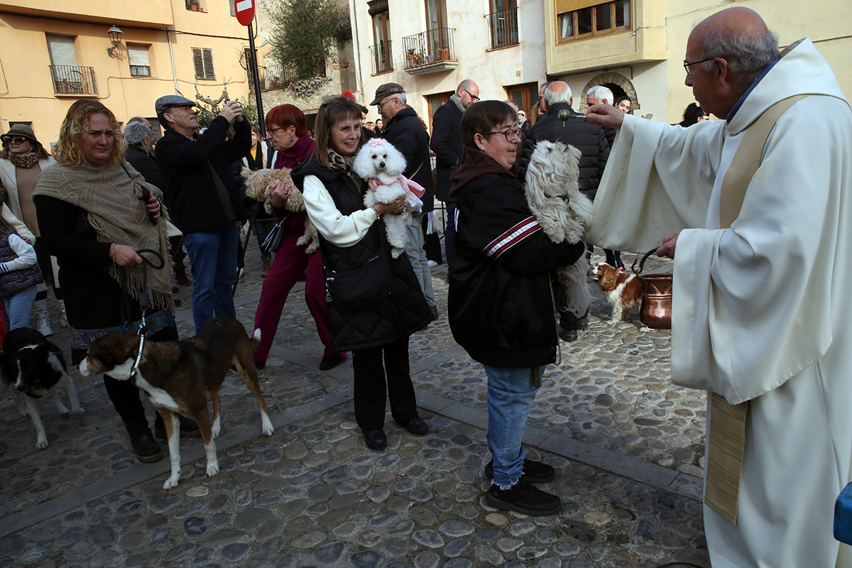 Benedicció dels animals