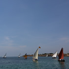Trobada de vela llatina