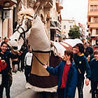 El Cavall del CEIP Eugeni d'Ors