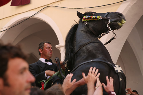 Cavall fent un 