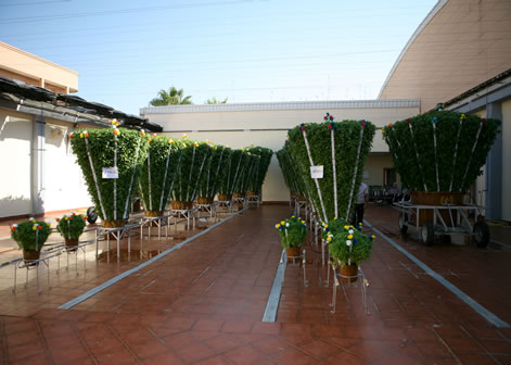 L'Hort de les Alfàbegues