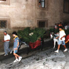 L'entrada de l'aigua amb els rucs