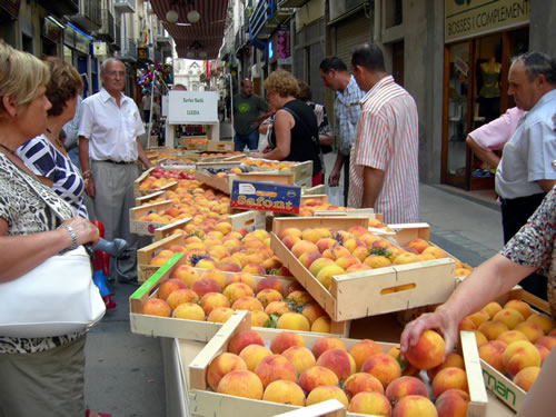 Parada amb albercocs