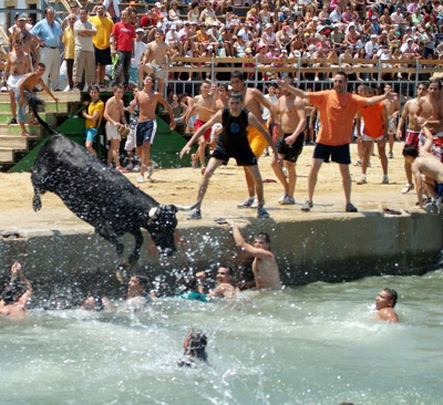 El moment en què el bou cau a l'aigua, la multitud esclata d'alegria