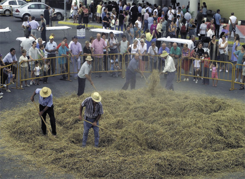 L'arròs del Delta és dels més apreciats del món