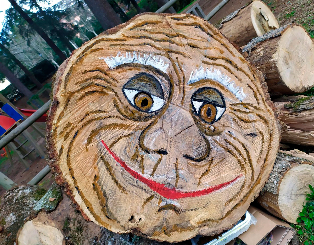 Tió d'un freixe centenari (Sant Hilari Sacalm)