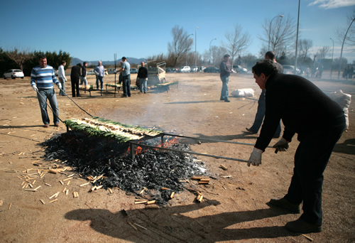 Coent calçots