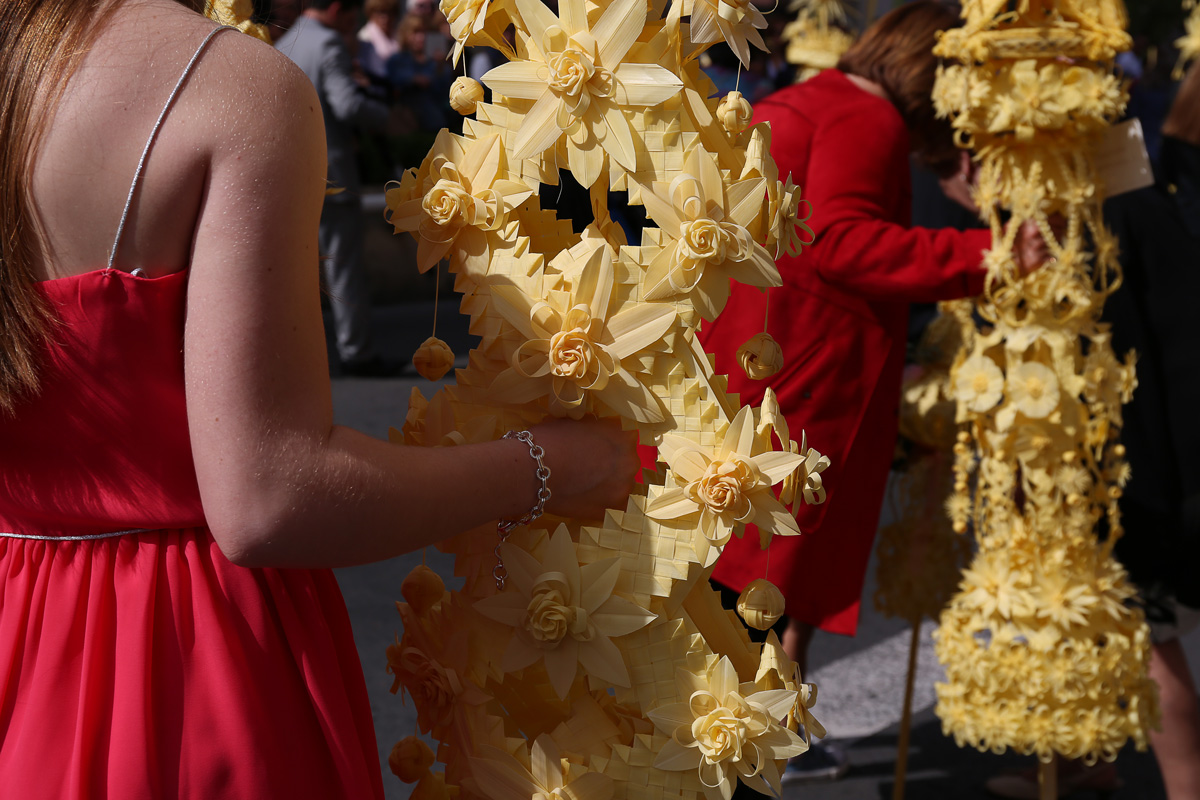 Palmes gegants Setmana Santa