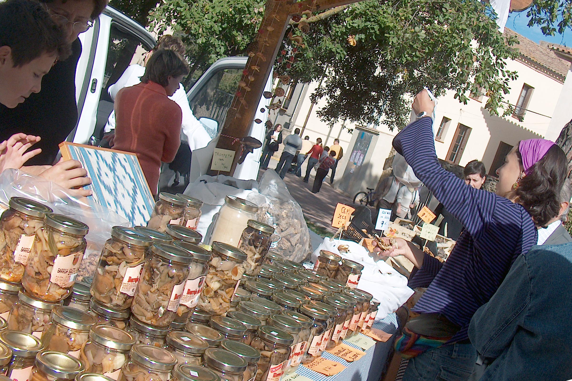Festa del Bolet i de les Herbes Remeieres a Castellterçol