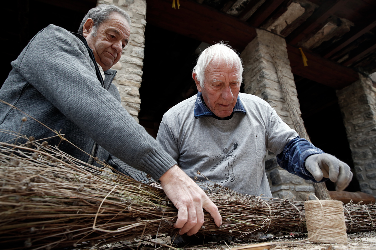 Preparant una faia
