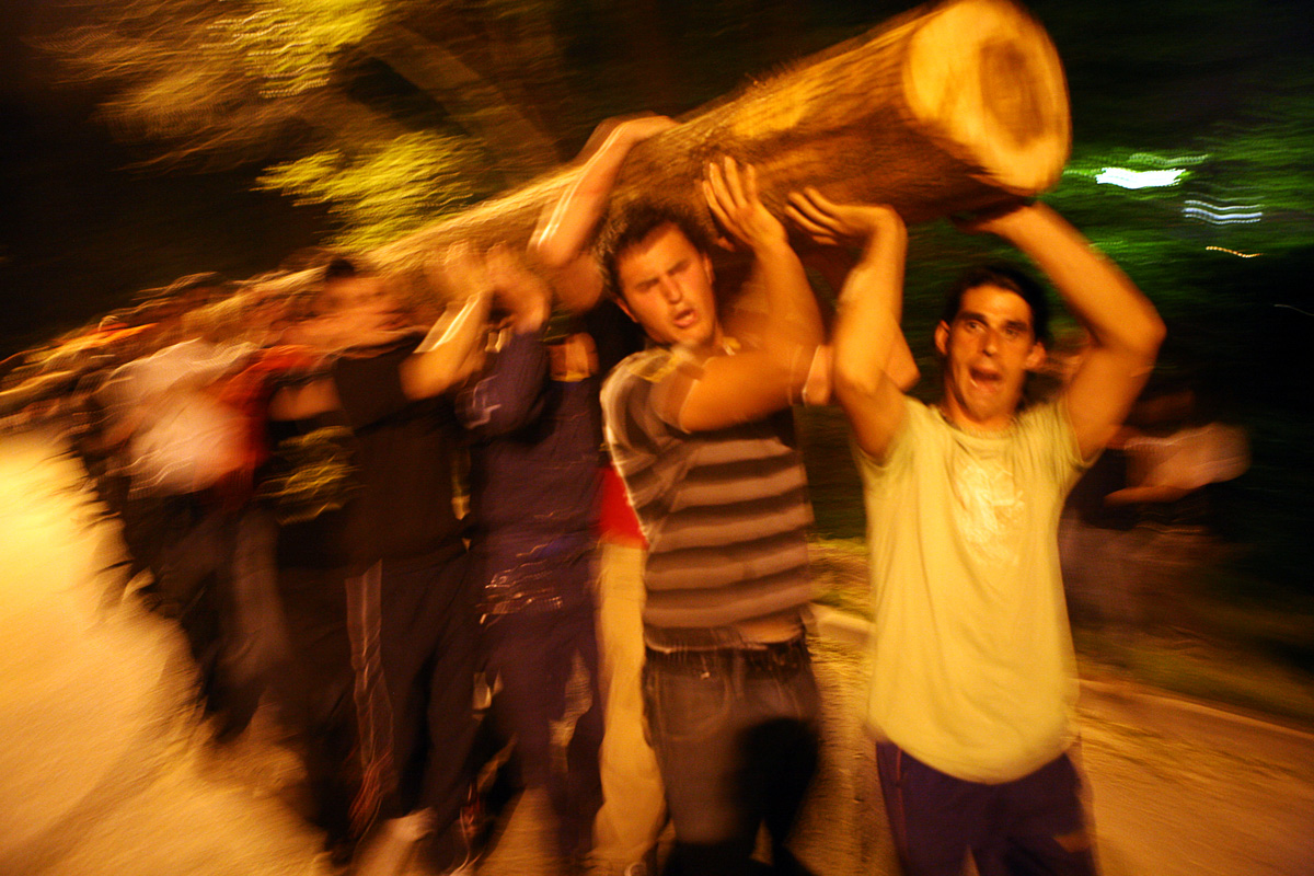 L'arbre es carrega a pes