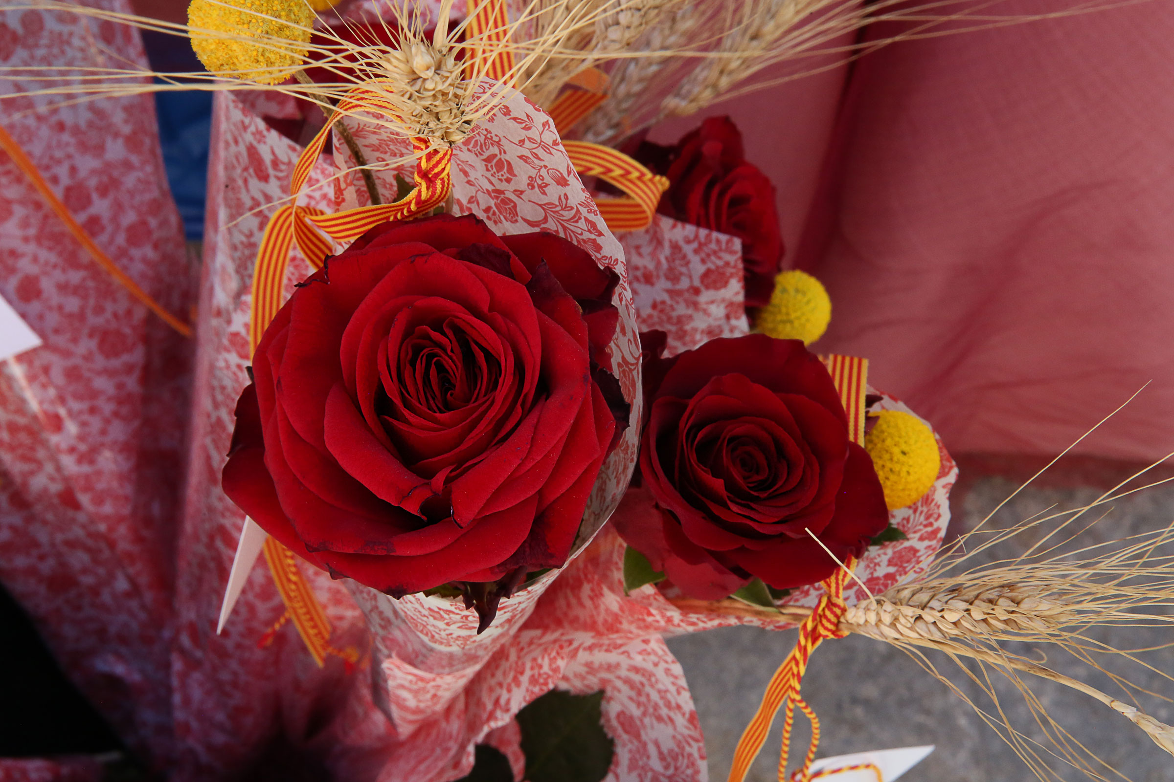 La rosa