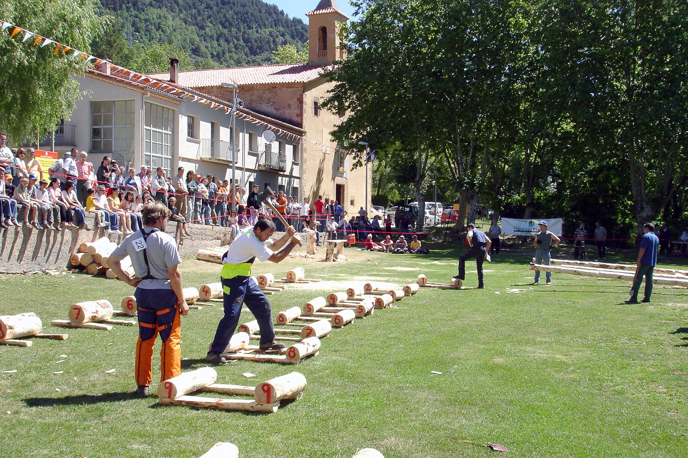 Tallada de Troncs de Vallfogona de Ripollès