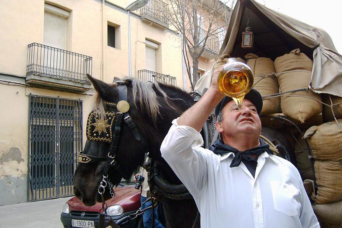 Festa dels Tonis de Manlleu