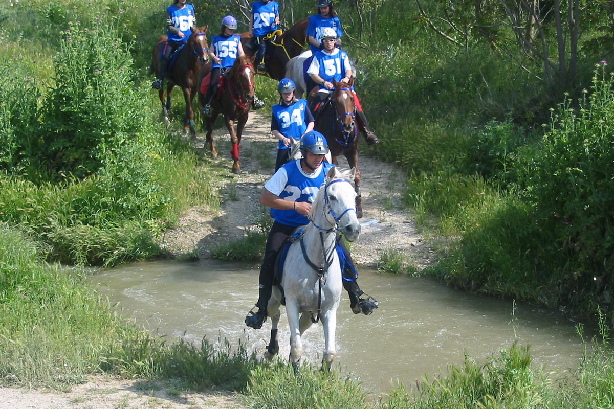 Prova hípica