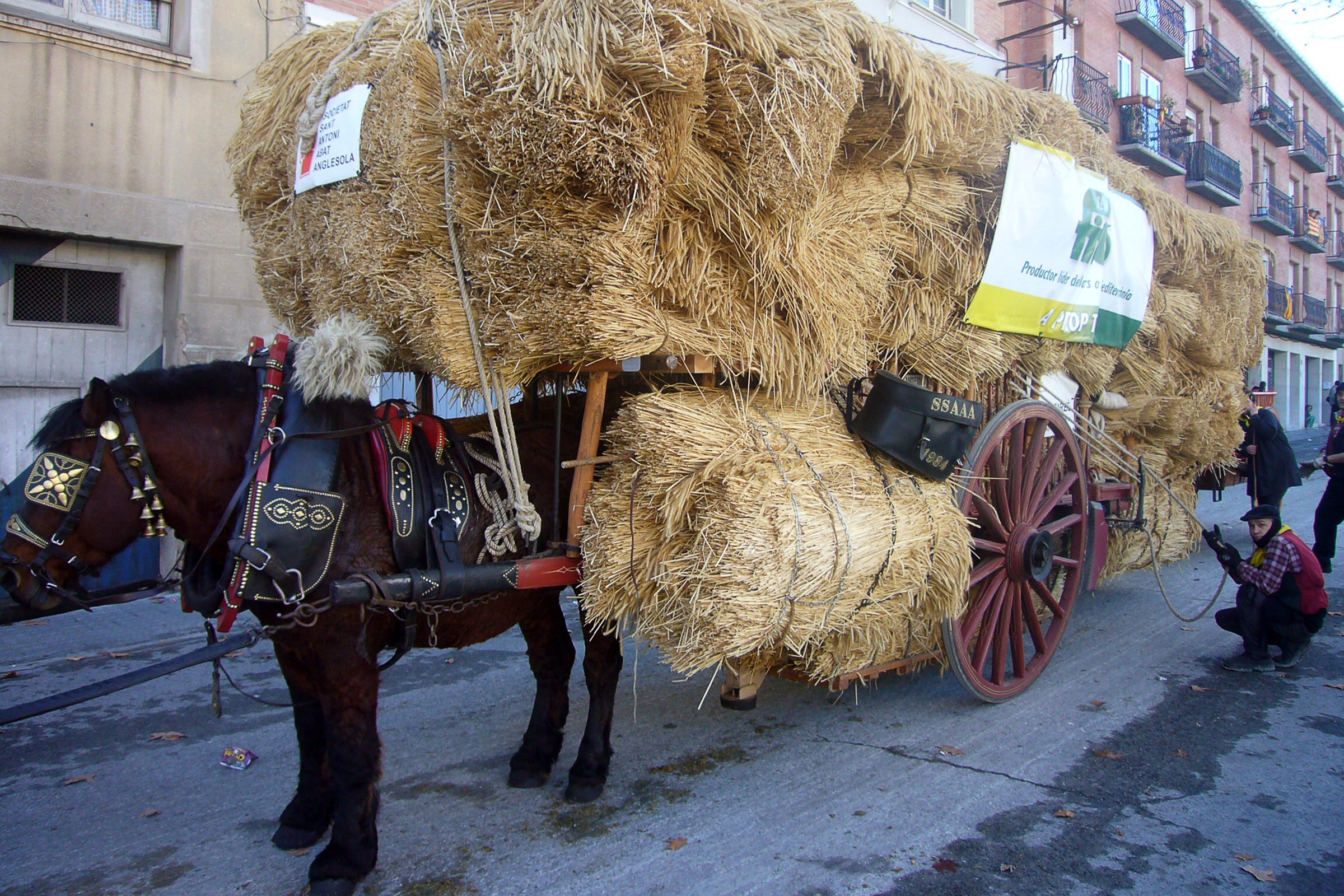 Carro carregat de palla. Foto: Jordi Ferrer