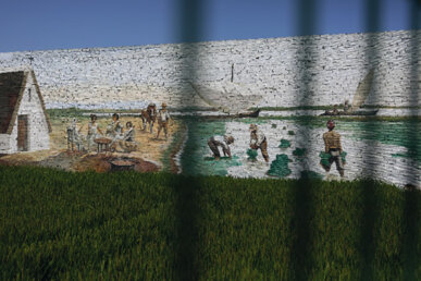 Mural dedicat als arrossaires
