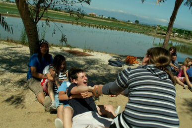 Joc d'arrencar cebes