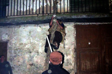 Pujant a un balcó