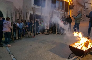 Les faies són llargues