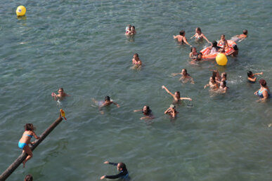 Intentant arribar al pollastre