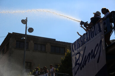 Mànega d'aigua