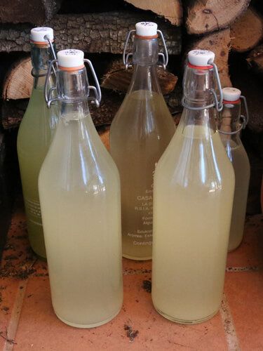 El suc de saüc, fermentant