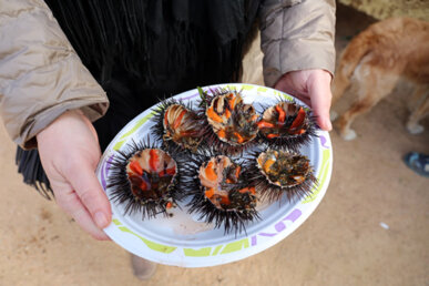 Plat amb garoines