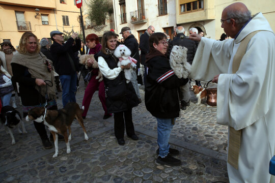Benedicció dels animals