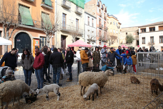 Mostra d'animals de granja