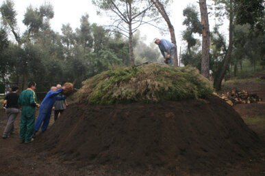 La carbonera embalumada i mig coberta de terra