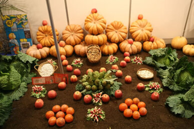 Mostra de Fruites i Verdures