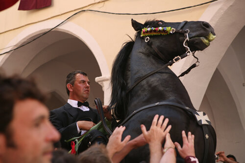 Cavall fent un