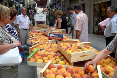 Parada amb albercocs