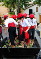 Trepitjada de Raïm