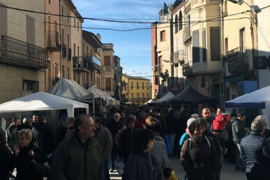 Un dels carrers del poble durant la fira