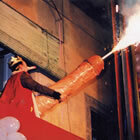 Pregó del rei Carnestoltes (1995)