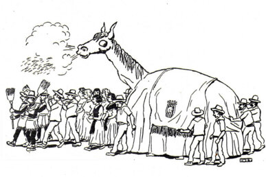 Dibuix del Camell