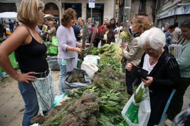 Comprant espígol en una parada