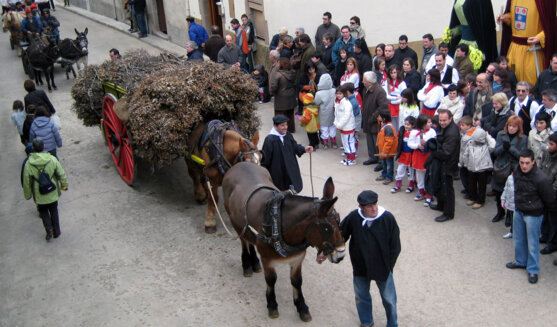 Festes i Fires de la Candelera a Perafita