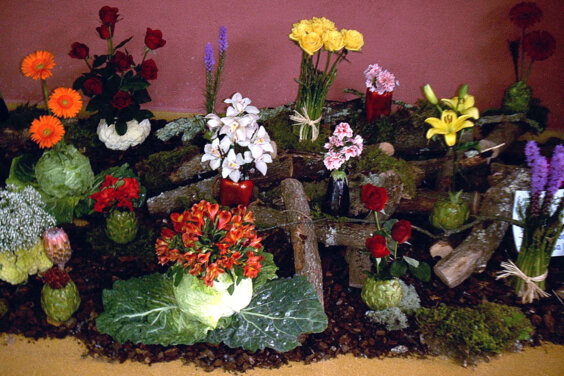 Galeria principal