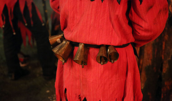 Festa de Sant Antoni a Sa Pobla