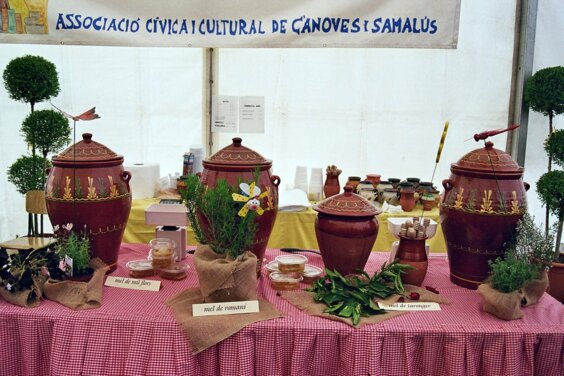Galeria principal