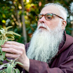 Fra Valentí Serra i Fornell